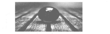 國(guó)威：光電信息顯示技術(shù)的發(fā)展趨勢(shì)及在安防中的運(yùn)用